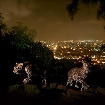 12256894_1506757989622798_543587528_n